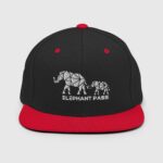 classic-snapback-black-red-front-659ff4d9b826c.jpg