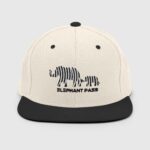 classic-snapback-natural-black-front-65c40ade59d57.jpg