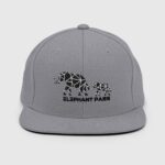 classic-snapback-heather-black-front-65a14837e2ec7.jpg